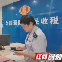 湖南新宁：“税务蓝”绽放文明之花 绘就便民服务新答卷