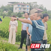 大祥区科协开展“送科技下乡”主题党日活动 