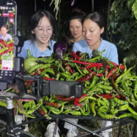 邵阳学院文学院促进团走进新宁中房村 直播助农为乡村振兴注入青春动能