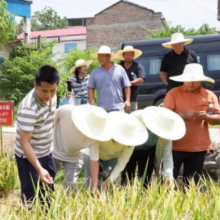 洞口：党建引领点燃四大产业振兴引擎