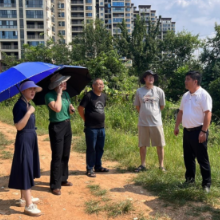 大祥区：强责任抓落实，全力做好问题整改