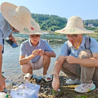 邵阳学子三下乡：水质调研护生态，青春助力振乡村