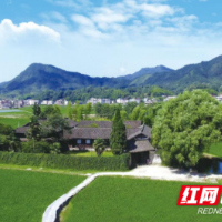 隆回县司门前镇：党建引领聚合力 魏源故里绘就农文旅融合新蓝图