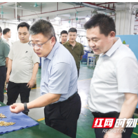 洞口县“1453”:政协干的这些事儿,个个都接地气!