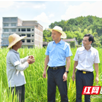 严华在绥宁县调研督导有效衔接、生态环保等工作
