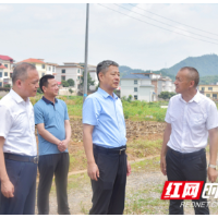 严华在武冈市巡田并调研粮食生产、耕地保护工作