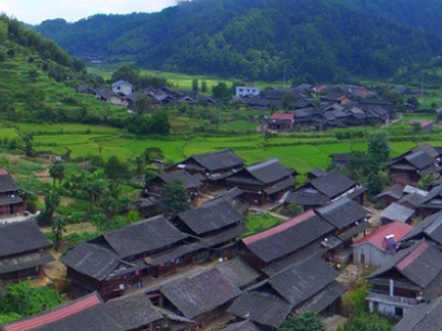 绥宁税务：合规赋能激活风电行业绿色动能