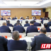 中国（邵阳）跨境电子商务综合试验区建设工作推进会召开