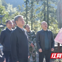 严华在湖南舜皇山国家级自然保护区巡林