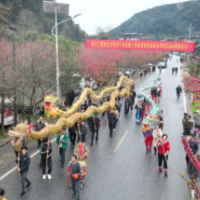 城步：“桃花之约”迎客来 社区共建展风采