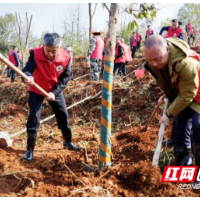 邵阳市干部群众参加义务植树活动