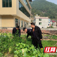 新邵县迎光乡： 禁种铲毒正当时 筑牢防线护平安