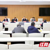 严华主持召开十二届市委审计委员会第九次会议