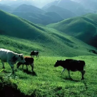 假期将至，来邵阳过个“有戏”的五一