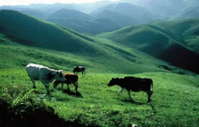 假期将至，来邵阳过个“有戏”的五一