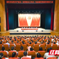邵阳市“两优一先”表彰大会召开