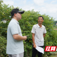AI赋能乡村振兴，湖南师大的“三下乡”为何不一样？