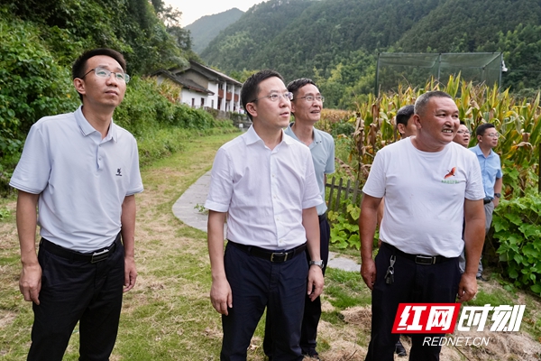 微信图片_20260805095758_40_27.jpg 微信图片_20260805095758_40_27.jpg