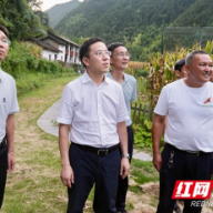 龚红果赴新宁县调研经济社会发展情况