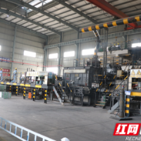 株洲渌口区：守护碧水蓝天 加速打造全域电能替代示范区