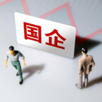 国有企业要当好落实“两个毫不动摇”的排头兵