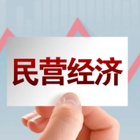 金观平：开拓民营经济高质量发展空间