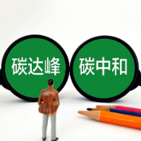 业界：多方共促电气化水平提升 助力实现碳达峰、碳中和目标