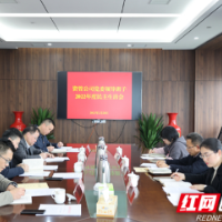 湘科集团资管公司党委召开2022年度民主生活会