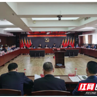 湖南农业集团召开2022年度党组织书记抓党建工作述职评议会议