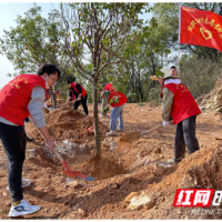 这个春天 湖南建投把“五彩”风景送给你