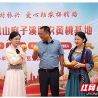  湖南省沅陵县工商联携手民企举办爱心助农拓销活动