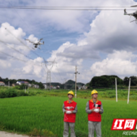国网湖南超高压输电公司：无人机精细化巡视 护航线路安全运行