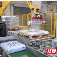 巴陵石化己内酰胺搬迁项目第一套生产装置一次开车成功