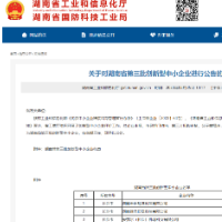 现代环境被认定为“湖南省创新型中小企业”