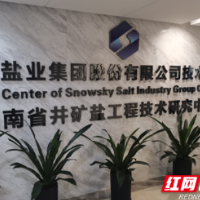 湖南省井矿盐工程技术研究中心顺利通过验收