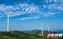 芷江水土保持项目入选水利部“十四五”创新成效典型案例