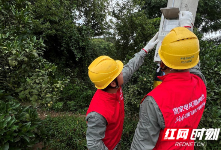 国网洪江市供电公司：电力“及时雨”解旱情 极速服务护农耕