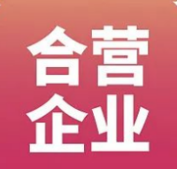 董少鹏：国企和民企并非“井水河水”关系