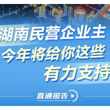 湖南民营企业主，今年将给你这些有力支持