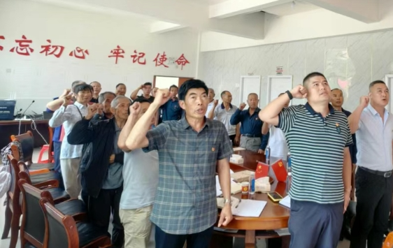 党员齐聚话振兴，响龙村里庆“七一”