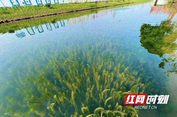 微信图片_20220407104313.marked.jpg 微信图片_20220407104313.marked.jpg