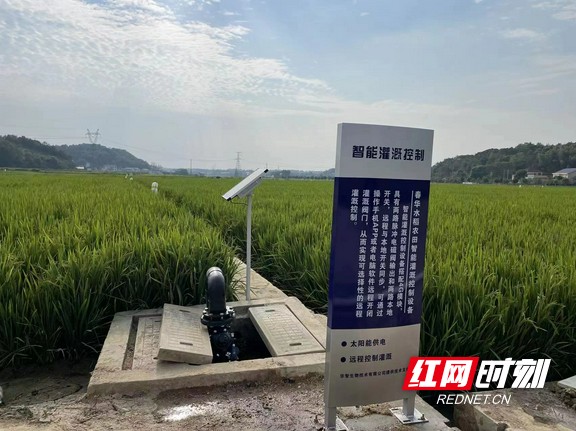 长沙县红旗水库灌区田间末端智能灌溉计量系统，为水权改革奠定基础。.marked.jpg