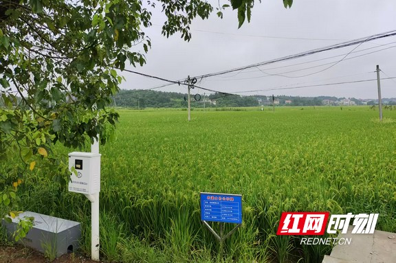 欧阳海灌区衡南县福全村田间自动化取水口。.marked.jpg