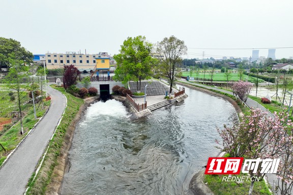 酒埠江灌区西干渠渠首正在开闸放水.marked.jpg