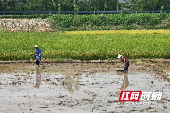澧阳平原灌区.marked.jpg