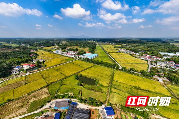 桐仁桥灌区 吴伟摄.marked.jpg