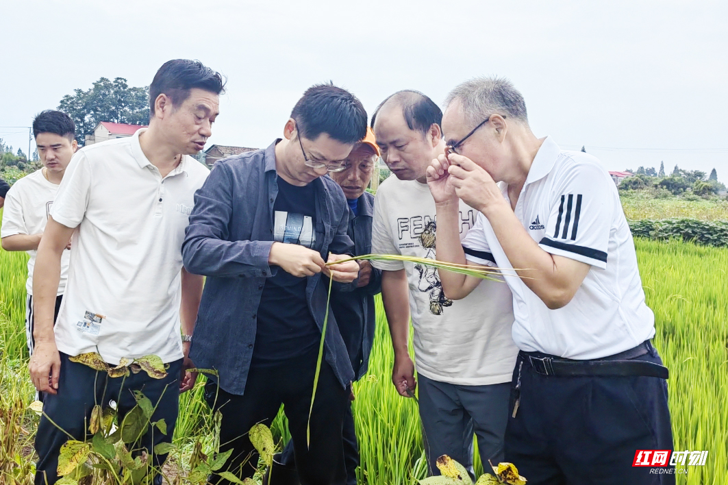 4副本.jpg