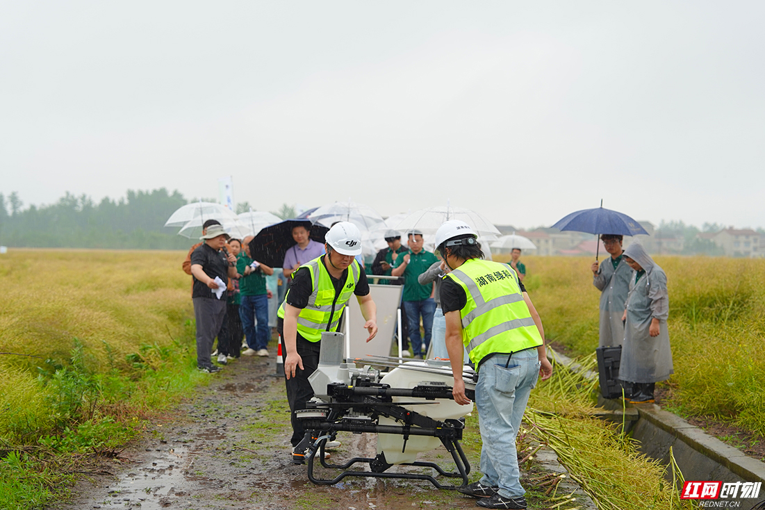 333.jpg