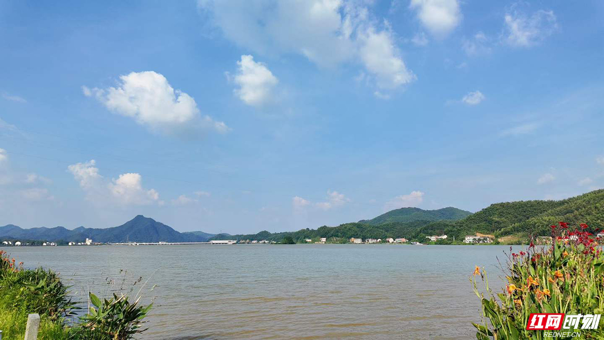 555.jpg