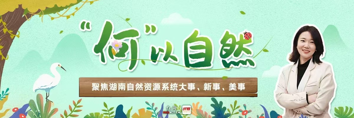 微信图片_20250709193820.jpg